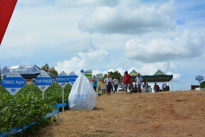 Dia de campo destaca cultivares de soja e milho