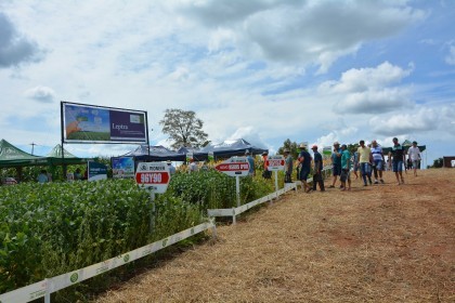 Dia de campo destaca cultivares de soja e milho