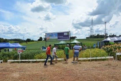 Dia de campo destaca cultivares de soja e milho