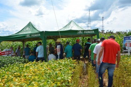 Dia de campo destaca cultivares de soja e milho