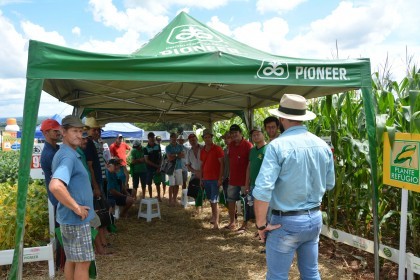 Dia de campo destaca cultivares de soja e milho