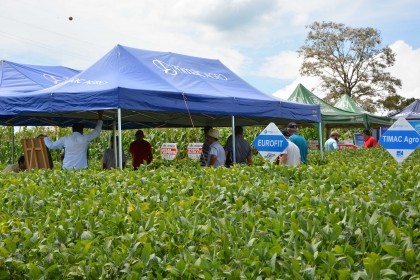 Dia de campo destaca cultivares de soja e milho