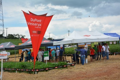 Dia de campo destaca cultivares de soja e milho
