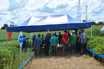 Dia de campo destaca cultivares de soja e milho