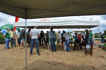Dia de campo destaca cultivares de soja e milho