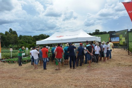 Dia de campo destaca cultivares de soja e milho