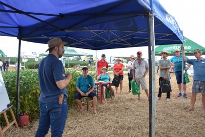 Dia de campo destaca cultivares de soja e milho