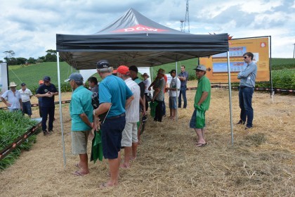 Dia de campo destaca cultivares de soja e milho