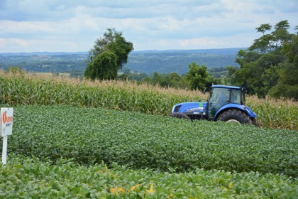 Dia de campo destaca cultivares de soja e milho