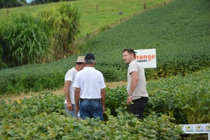 Dia de campo destaca cultivares de soja e milho