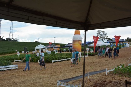 Dia de campo destaca cultivares de soja e milho
