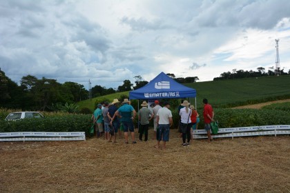 Dia de campo destaca cultivares de soja e milho