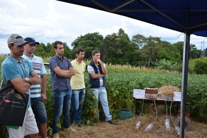 Dia de campo destaca cultivares de soja e milho