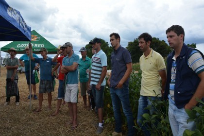Dia de campo destaca cultivares de soja e milho