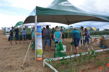 Dia de campo destaca cultivares de soja e milho