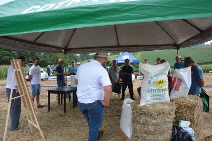 Dia de campo destaca cultivares de soja e milho