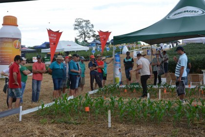 Dia de campo destaca cultivares de soja e milho
