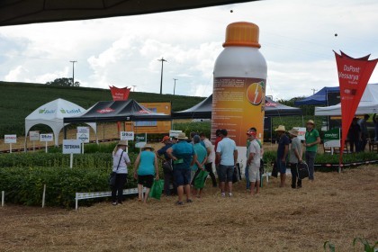 Dia de campo destaca cultivares de soja e milho