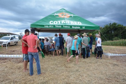 Dia de campo destaca cultivares de soja e milho