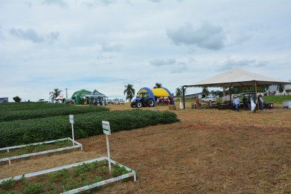 Dia de campo destaca cultivares de soja e milho