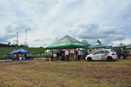 Dia de campo destaca cultivares de soja e milho