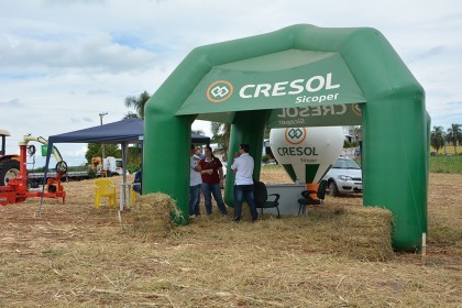 Dia de campo destaca cultivares de soja e milho