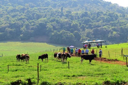 Dia de Campo do Projeto Rural Sustentável é realizado