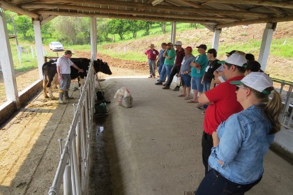 Dia de Campo do Projeto Rural Sustentável é realizado