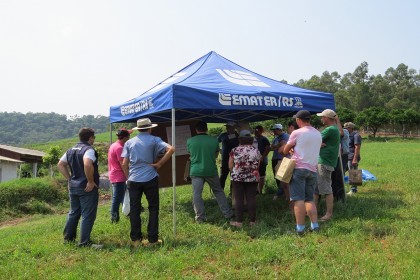 Dia de Campo do Projeto Rural Sustentável é realizado