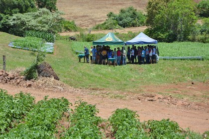 Dia de campo sobre bovinocultura de leite é realizado