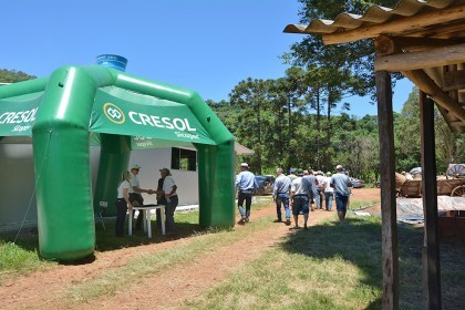 Dia de campo sobre bovinocultura de leite é realizado
