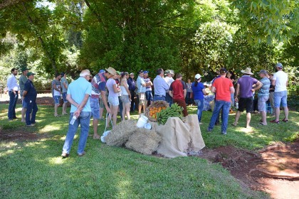 Dia de campo sobre bovinocultura de leite é realizado