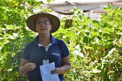 Dia de campo sobre bovinocultura de leite é realizado