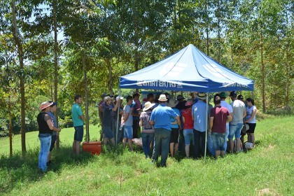 Dia de campo sobre bovinocultura de leite é realizado