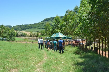 Dia de campo sobre bovinocultura de leite é realizado