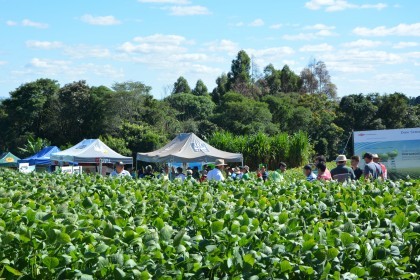Dia de Campo sobre soja apresenta inovações e tecnologias