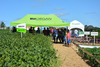 Dia de Campo sobre soja apresenta inovações e tecnologias