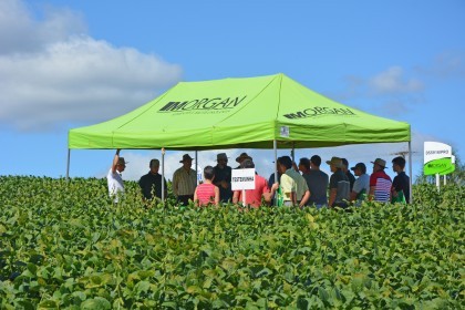 Dia de Campo sobre soja apresenta inovações e tecnologias