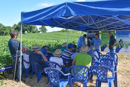 Dia de Campo sobre soja apresenta inovações e tecnologias
