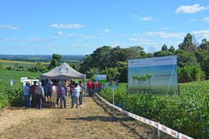 Dia de Campo sobre soja apresenta inovações e tecnologias