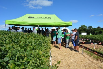 Dia de Campo sobre soja apresenta inovações e tecnologias