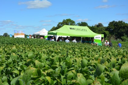Dia de Campo sobre soja apresenta inovações e tecnologias