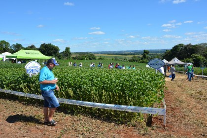Dia de Campo sobre soja apresenta inovações e tecnologias