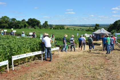 Dia de Campo sobre soja apresenta inovações e tecnologias