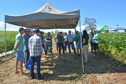 Dia de Campo sobre soja apresenta inovações e tecnologias