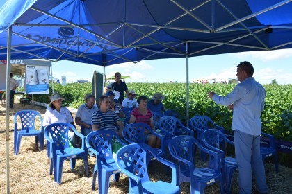 Dia de Campo sobre soja apresenta inovações e tecnologias