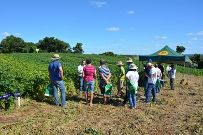 Dia de Campo sobre soja apresenta inovações e tecnologias