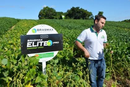 Dia de Campo sobre soja apresenta inovações e tecnologias