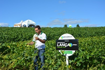 Dia de Campo sobre soja apresenta inovações e tecnologias