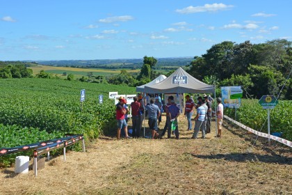 Dia de Campo sobre soja apresenta inovações e tecnologias